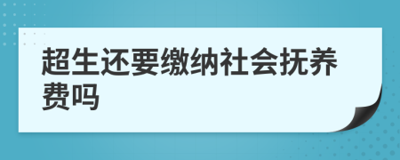 超生還要繳納社會撫養(yǎng)費嗎