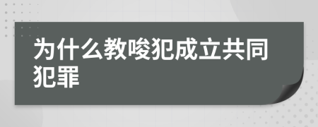 為什么教唆犯成立共同犯罪