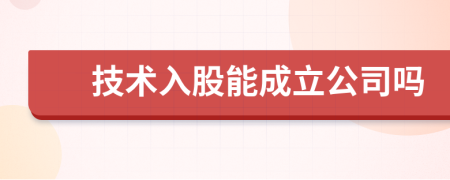 技術(shù)入股能成立公司嗎