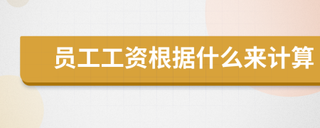 員工工資根據(jù)什么來計算
