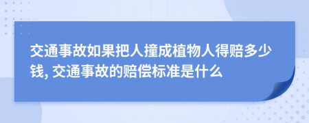 交通事故如果把人撞成植物人得賠多少錢, 交通事故的賠償標(biāo)準(zhǔn)是什么