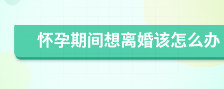 懷孕期間想離婚該怎么辦