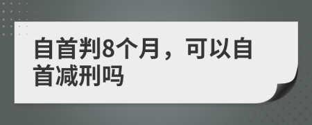 自首判8個(gè)月，可以自首減刑嗎