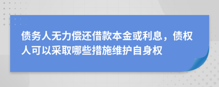 債務人無力償還借款本金或利息，債權人可以采取哪些措施維護自身權