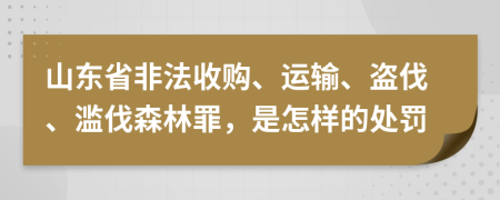 山東省非法收購、運(yùn)輸、盜伐、濫伐森林罪，是怎樣的處罰