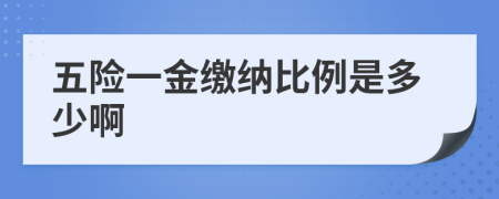 五險一金繳納比例是多少啊