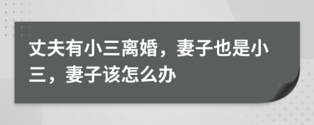 丈夫有小三離婚，妻子也是小三，妻子該怎么辦
