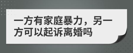 一方有家庭暴力，另一方可以起訴離婚嗎