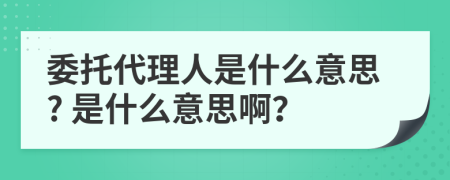 委托代理人是什么意思? 是什么意思??？