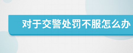 對于交警處罰不服怎么辦