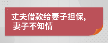 丈夫借款給妻子擔(dān)保, 妻子不知情