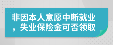 非因本人意愿中斷就業(yè)，失業(yè)保險金可否領(lǐng)取