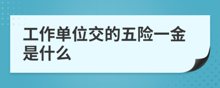 工作單位交的五險一金是什么