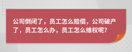 公司倒閉了，員工怎么賠償，公司破產(chǎn)了，員工怎么辦，員工怎么維權(quán)呢？