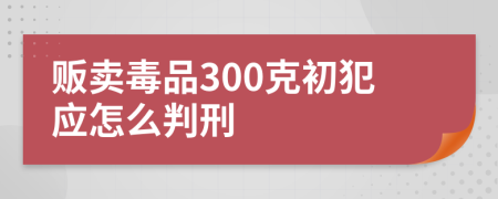 販賣(mài)毒品300克初犯應(yīng)怎么判刑