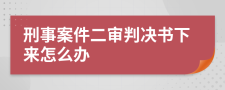 刑事案件二審判決書下來怎么辦