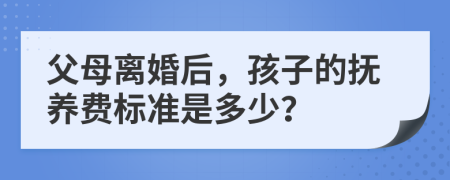 父母離婚后，孩子的撫養(yǎng)費(fèi)標(biāo)準(zhǔn)是多少？