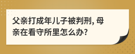 父親打成年兒子被判刑, 母親在看守所里怎么辦?