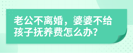 老公不離婚，婆婆不給孩子撫養(yǎng)費(fèi)怎么辦？