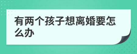 有兩個(gè)孩子想離婚要怎么辦