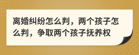 離婚糾紛怎么判，兩個孩子怎么判，爭取兩個孩子撫養(yǎng)權(quán)