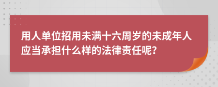 用人單位招用未滿十六周歲的未成年人應當承擔什么樣的法律責任呢？