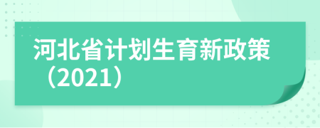 河北省計(jì)劃生育新政策（2021）