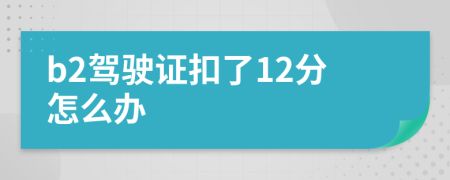 b2駕駛證扣了12分怎么辦