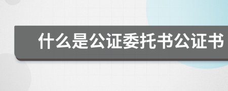 什么是公證委托書公證書