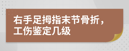 右手足拇指末節(jié)骨折，工傷鑒定幾級(jí)