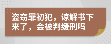 盜竊罪初犯，諒解書下來了，會被判緩刑嗎