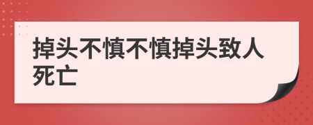 掉頭不慎不慎掉頭致人死亡