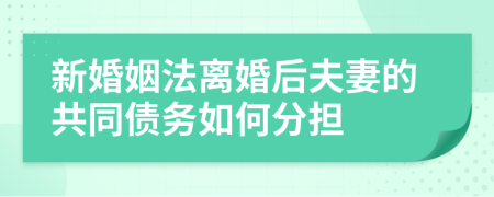 新婚姻法離婚后夫妻的共同債務(wù)如何分擔(dān)