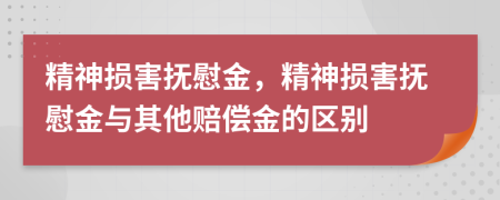 精神損害撫慰金，精神損害撫慰金與其他賠償金的區(qū)別
