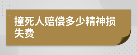 撞死人賠償多少精神損失費(fèi)