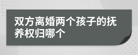雙方離婚兩個孩子的撫養(yǎng)權歸哪個