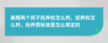 離婚兩個(gè)孩子撫養(yǎng)權(quán)怎么判，撫養(yǎng)權(quán)怎么判，撫養(yǎng)費(fèi)標(biāo)準(zhǔn)是怎么規(guī)定的
