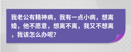 我老公有精神病，我有一點小病，想離婚，他不愿意，想離不離，我又不想離，我該怎么辦呢？