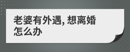 老婆有外遇, 想離婚怎么辦