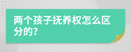兩個孩子撫養(yǎng)權(quán)怎么區(qū)分的？