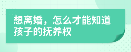 想離婚，怎么才能知道孩子的撫養(yǎng)權(quán)