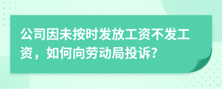 公司因未按時發(fā)放工資不發(fā)工資，如何向勞動局投訴？