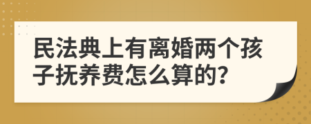 民法典上有離婚兩個孩子撫養(yǎng)費(fèi)怎么算的？