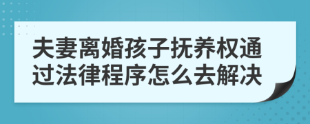 夫妻離婚孩子撫養(yǎng)權(quán)通過法律程序怎么去解決