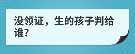 沒(méi)領(lǐng)證，生的孩子判給誰(shuí)？