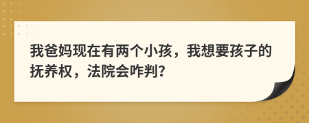 我爸媽現在有兩個小孩，我想要孩子的撫養(yǎng)權，法院會咋判？