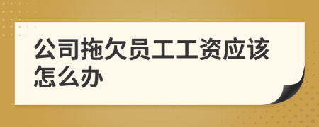 公司拖欠員工工資應(yīng)該怎么辦