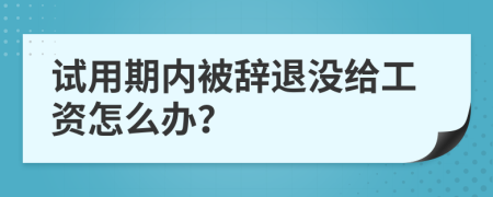 試用期內(nèi)被辭退沒(méi)給工資怎么辦?