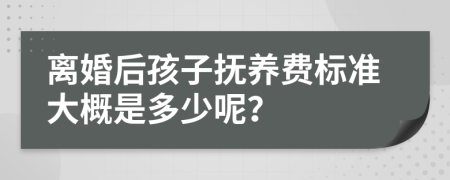 離婚后孩子撫養(yǎng)費(fèi)標(biāo)準(zhǔn)大概是多少呢？