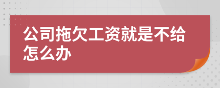 公司拖欠工資就是不給怎么辦